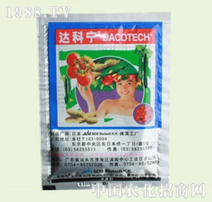 �̴T�S-�_(d��)�ƌ�