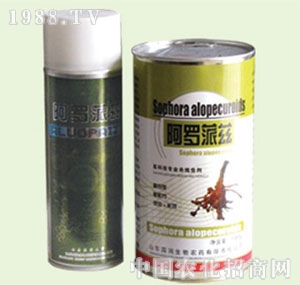 �̴T�S-���_��Ɲ