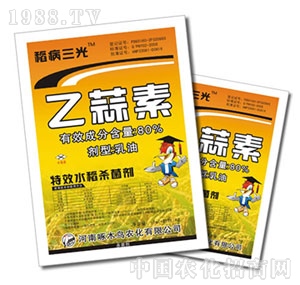 ��ľ�B-��������