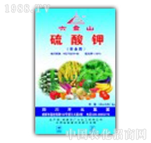 �_Ԫ-�����