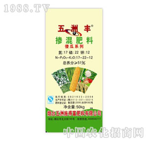 �����S-51%�������