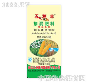 �����S-51%�������