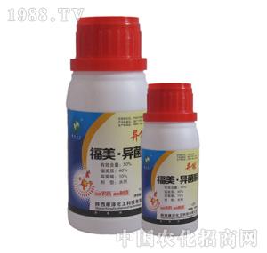 ����-����������