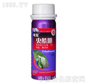 �G��-20%�x���Ҹ���