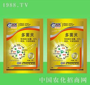 �G������-50%����`�ɝ��Էۄ�