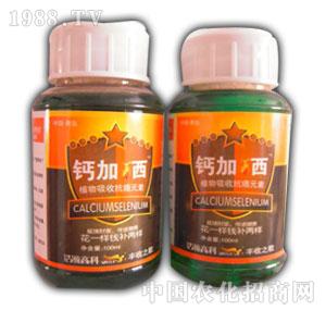 ���-����\����