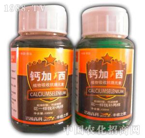 ���-�}����