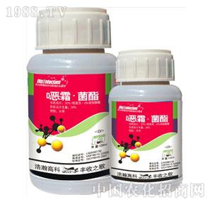 ���-38%�f˪���~����