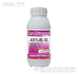 ����-���x(ch��ng)����