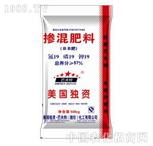 �������19-19-19BB��