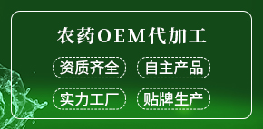 ɽ�|�|�h(yu��n)����Ƽ����޹�˾